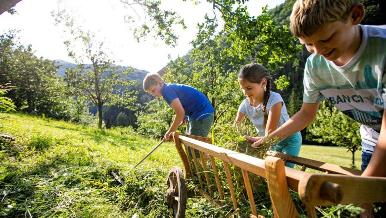 Vacation at the Zwergerlhof, © schwarz-koenig.at
