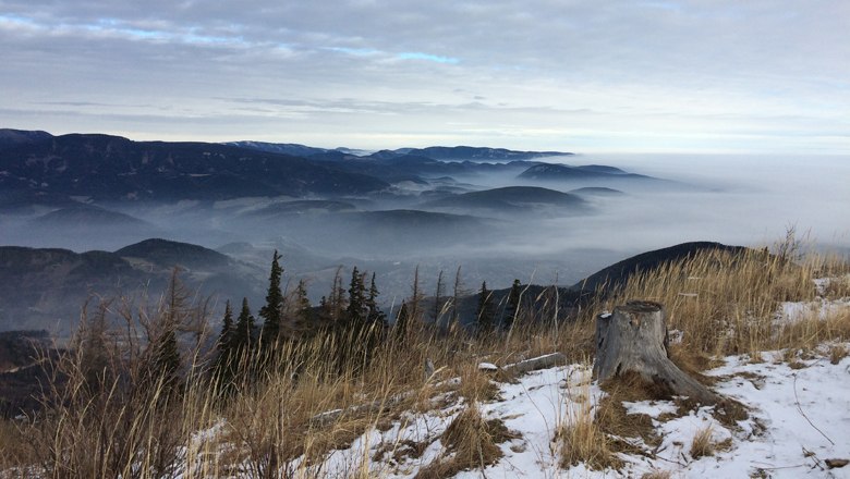 View of mist-covered mountains and valleys with snow-covered ground and tree stump in the foreground.