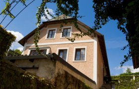 Exterior view of a traditional house overgrown with ivy, blue sky in the background.