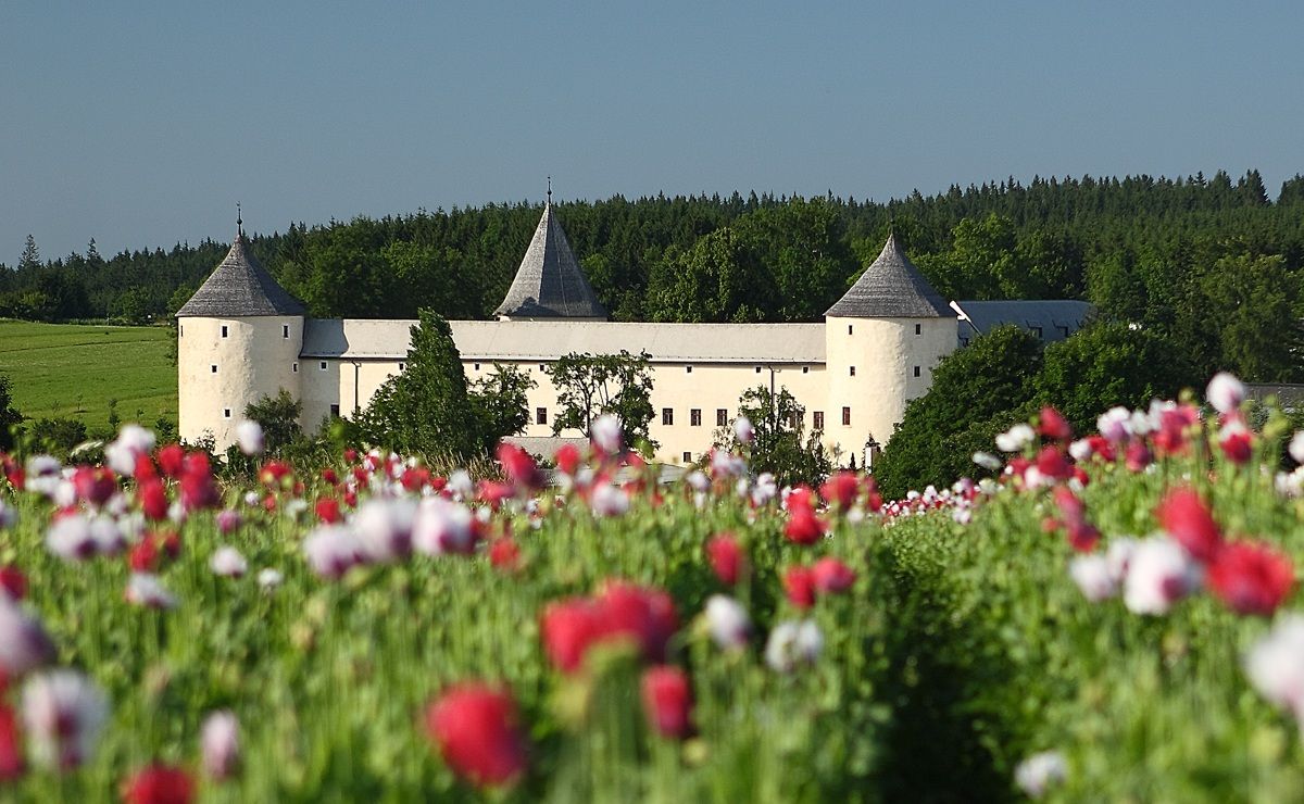 Ottenschlag Castle behind a field of poppies.