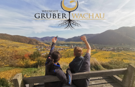Two people sit on a bench and look out over the vineyards of the Wachau. Hills and a river can be seen in the background.