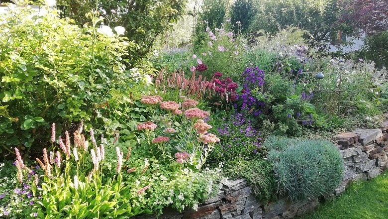 A lush garden with various flowering plants and shrubs on a stone terrace.
