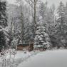 Snow-covered forest with woodpile and table in the foreground.