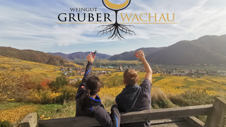 Two people sit on a bench and look out over the vineyards of the Wachau. Hills and a river can be seen in the background.