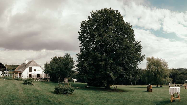 The garden, © philippblickfang