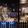 Snow-covered garden with illuminated tree and house veranda at night.