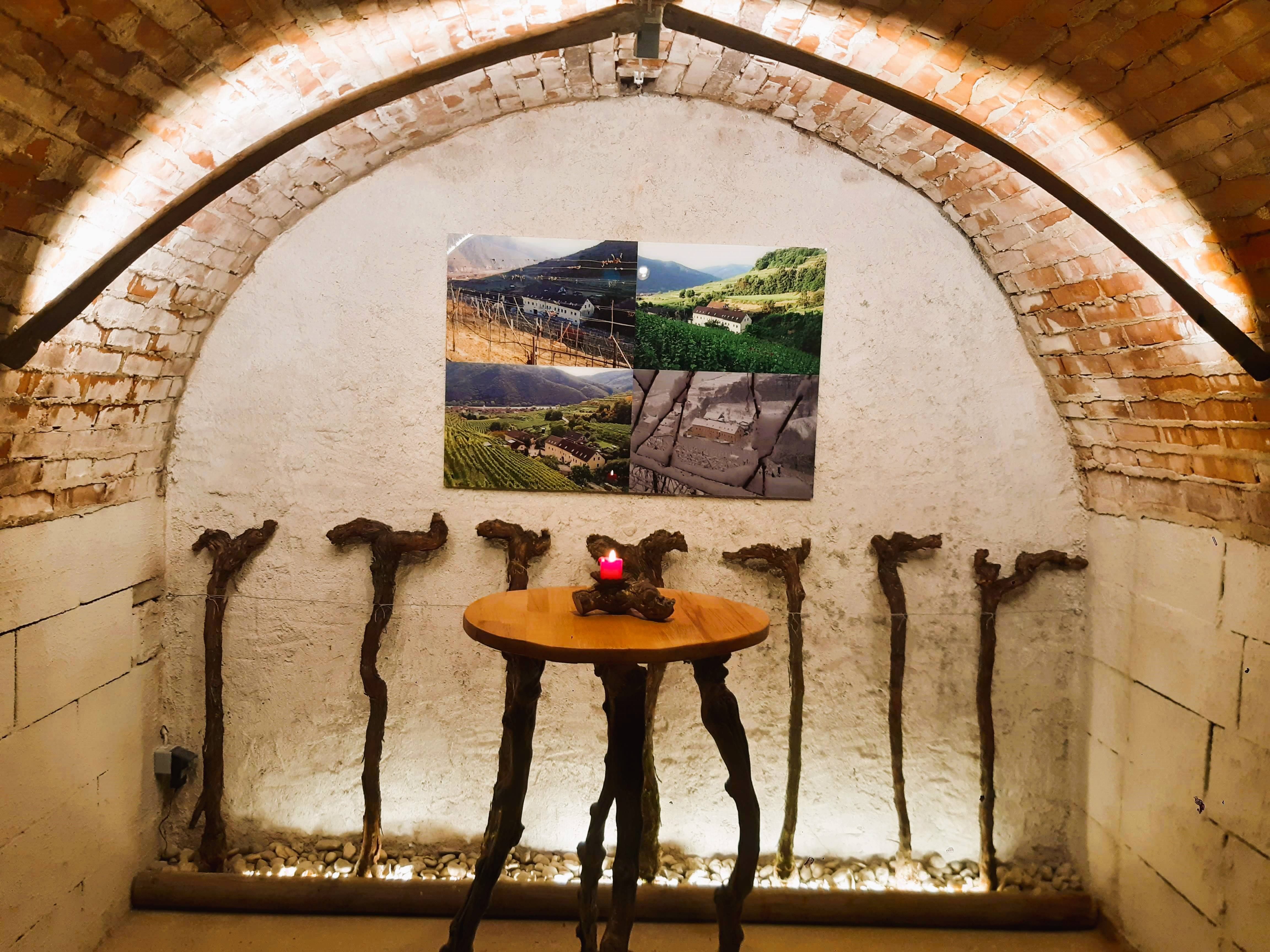 Vaulted wine cellar with table and grapevine decoration.