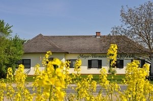 A building with the inscription 'Mayer-H&ouml;rmann' behind yellow flowers.