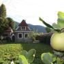 Garden view with small house and fruit tree in the foreground.