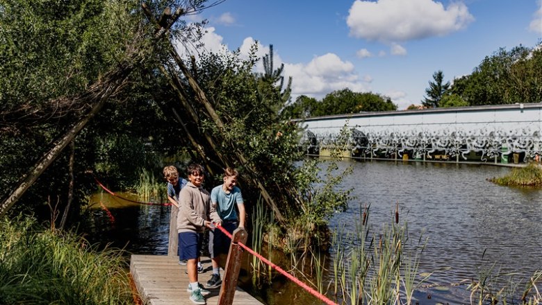 Three children on a wooden footbridge by a pond with plants and trees in the background.