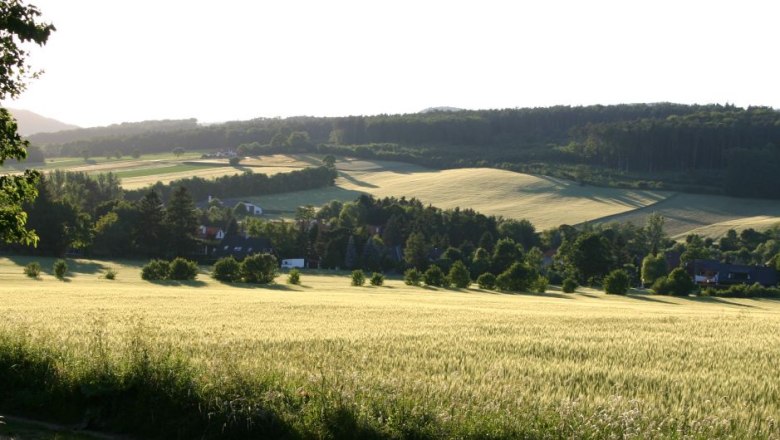 Landscape with fields, trees and houses in the background.