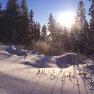 Snowy landscape at sunrise with trees in the background.