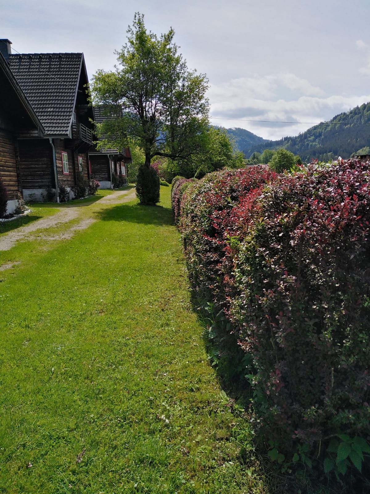 Vacation homes Kogelsbach