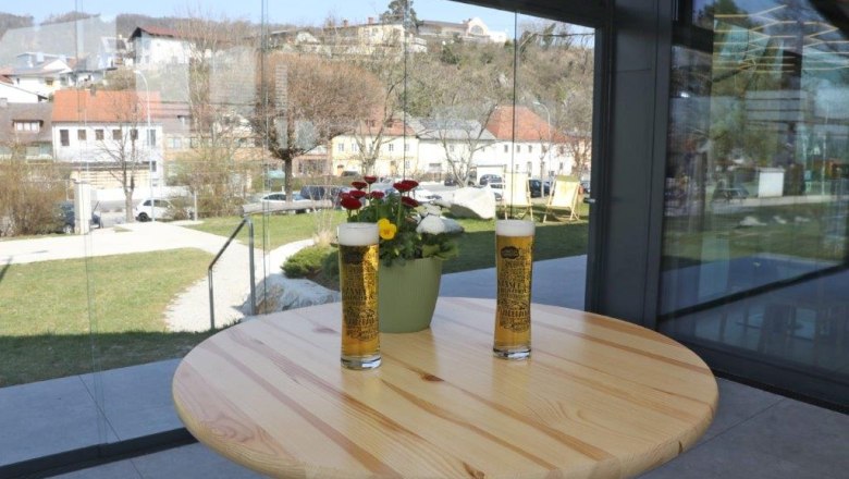 Two glasses of beer and a flower pot on a wooden table in a conservatory with a view of a cityscape.