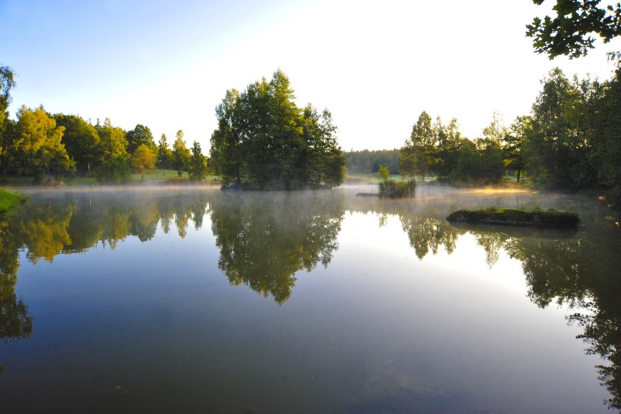 Nature park Blockheide, © Naturparke Niederösterreich/Robert Herbst