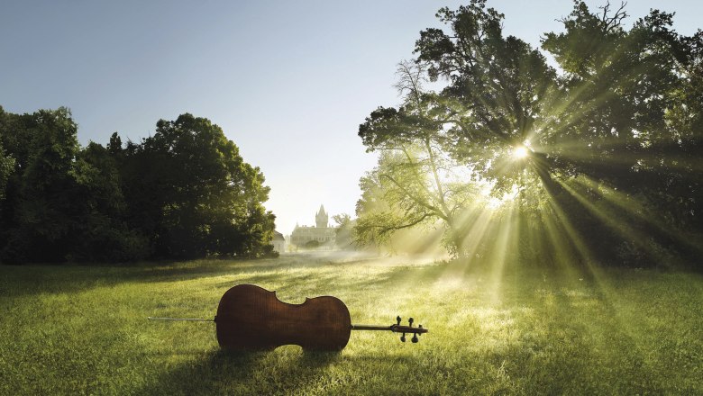 A cello lies on a meadow in the sunlight, a castle can be seen in the background.