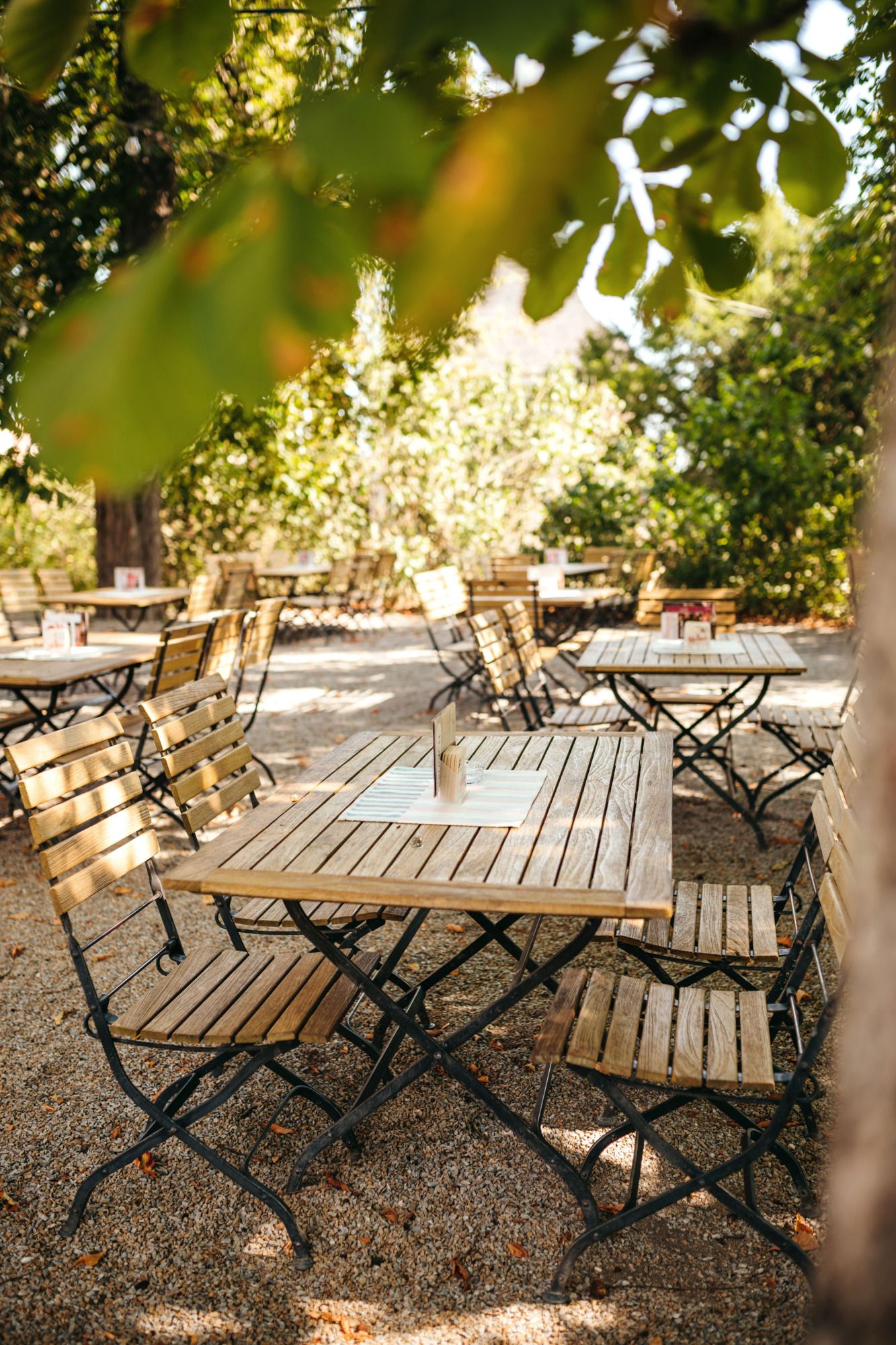 A guest garden with wooden tables and chairs under chestnut trees.