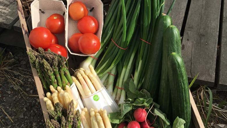 Regional vegetables, &copy; Landspeis