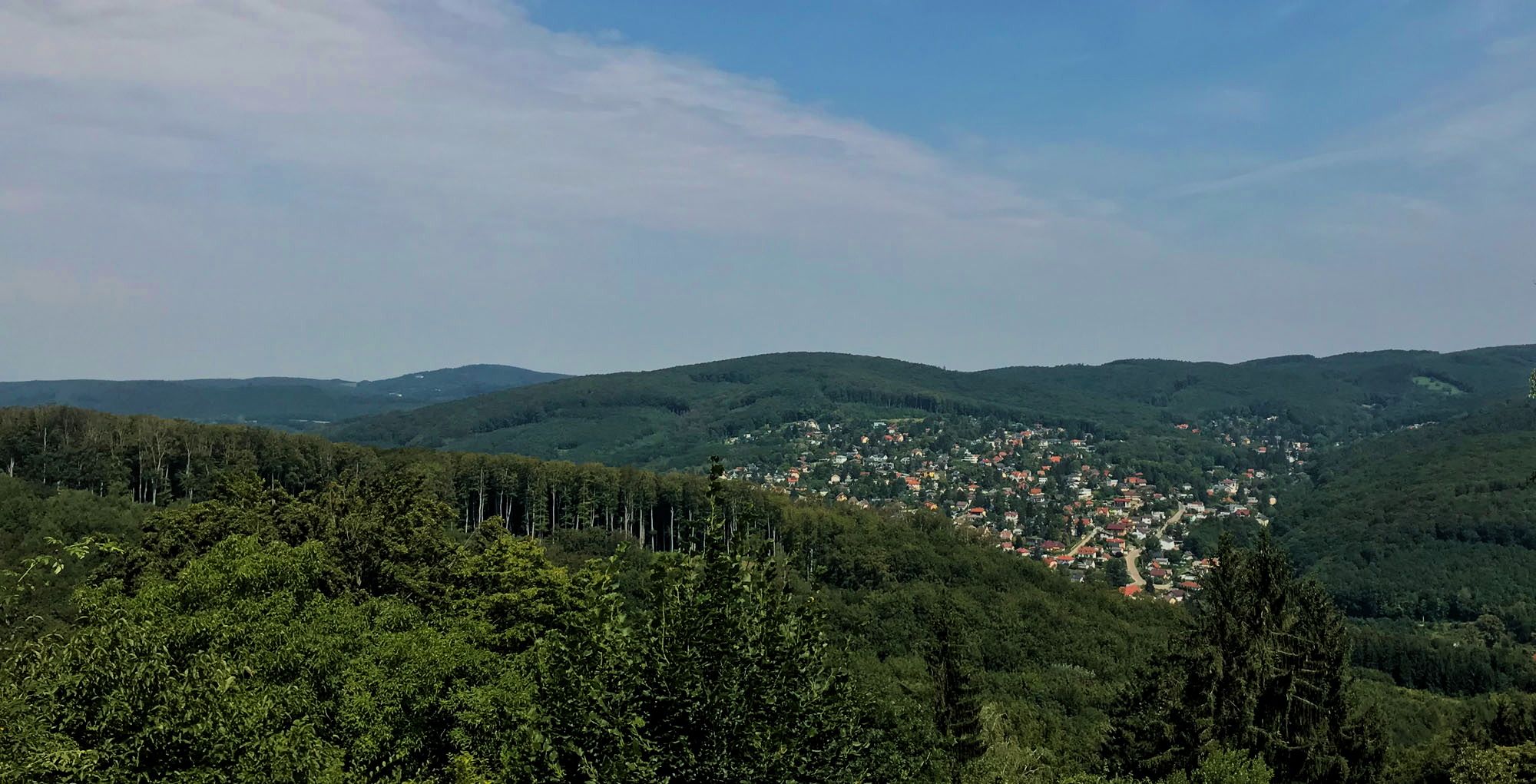Vienna Woods Steinbachtal