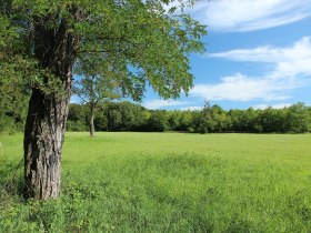 Gro&szlig;er Orther Rundwanderweg, &copy; Donau Nieder&ouml;sterreich - R&ouml;merland Carnuntum-Marchfeld