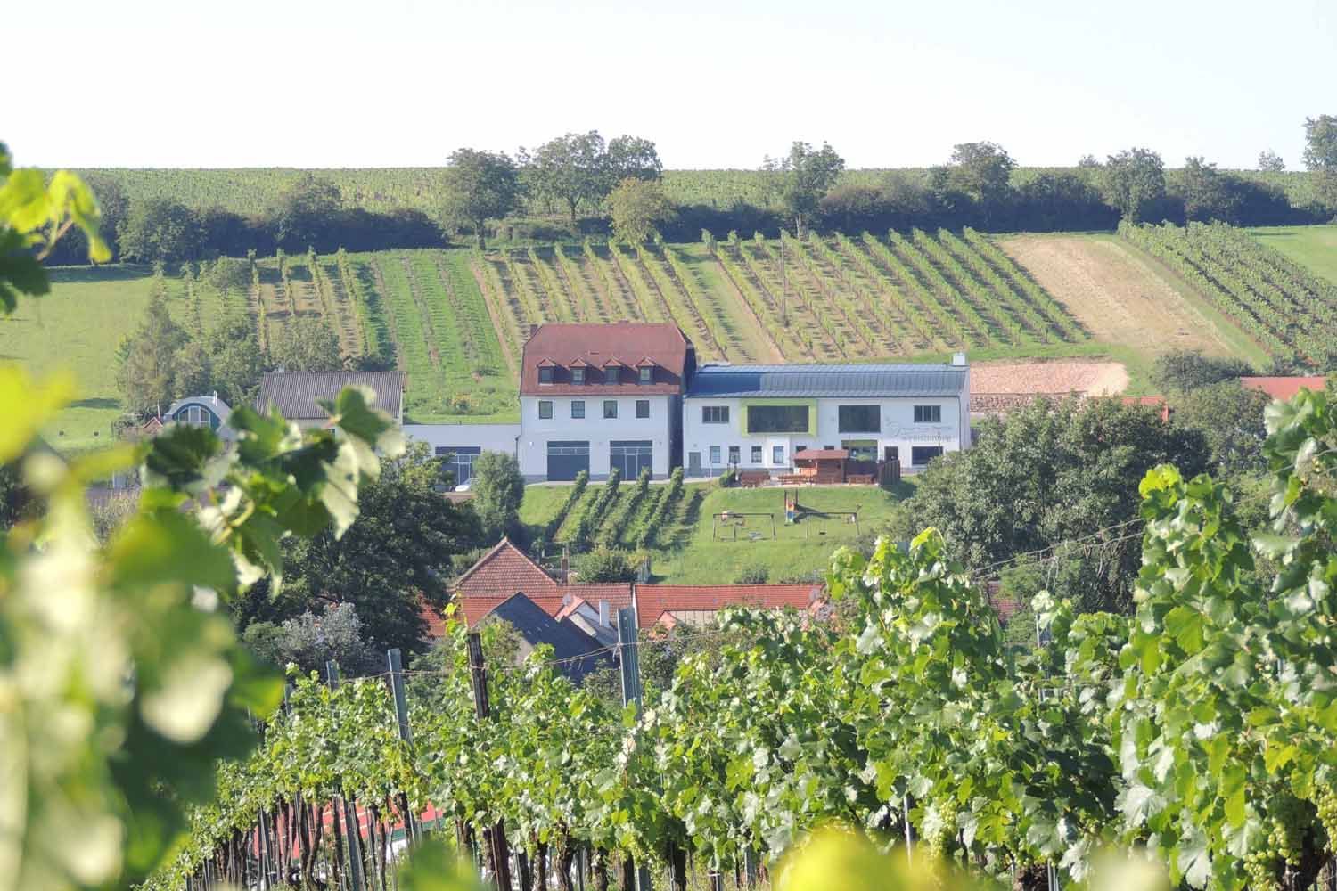 Winery with wine tavern in the middle of vineyards.
