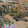 The SShop with lots of flowers, potted plants and flower arrangements.