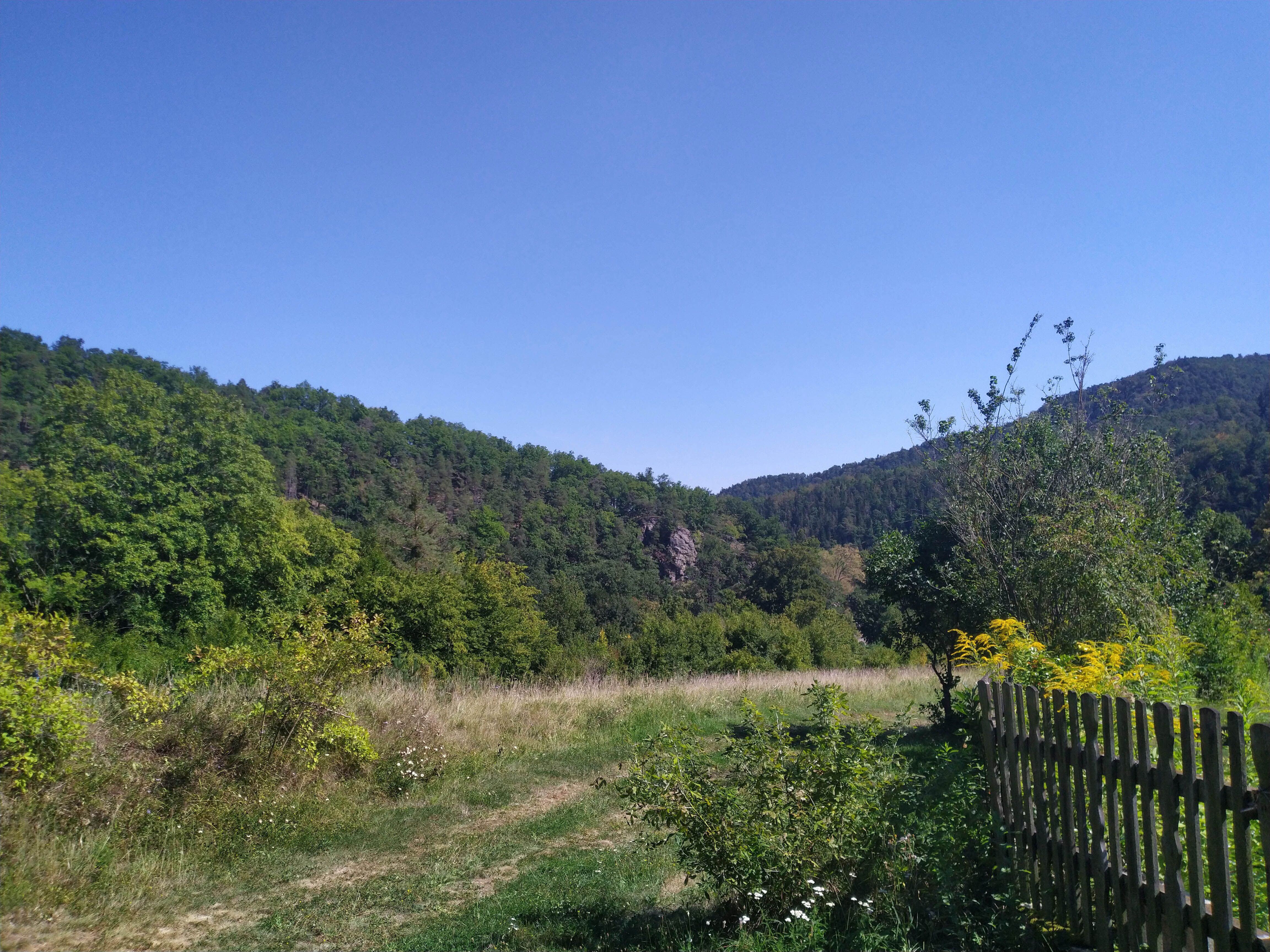 Landscape with meadows, trees and a wooden fence under a blue sky.