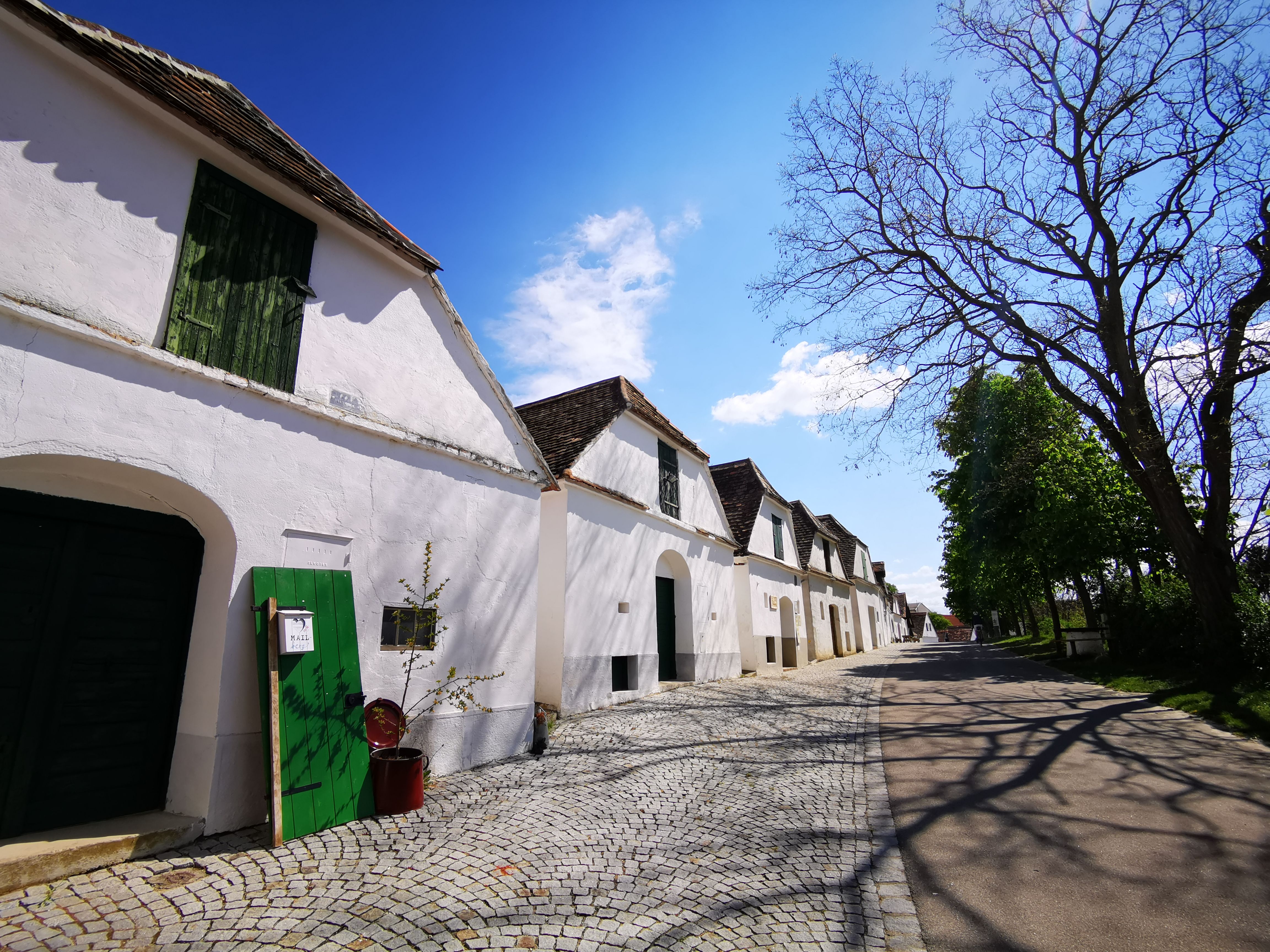 Wine cellar lane in Mailberg with white buildings and blue sky.
