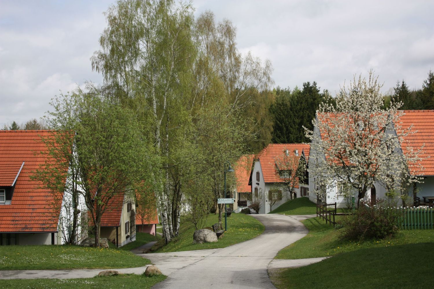 A village with red roofs and blossoming trees in spring.