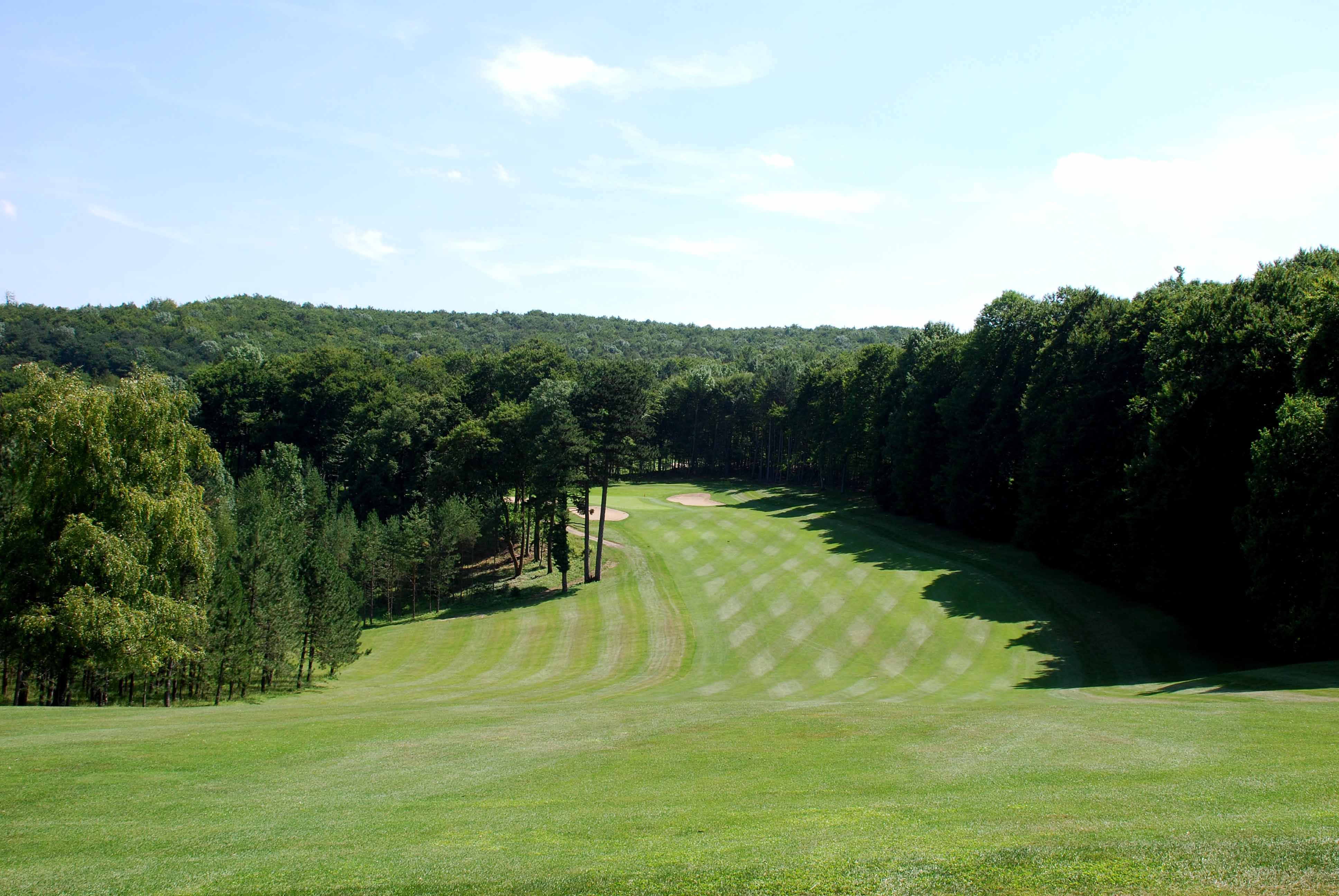 Golf course with manicured lawn and surrounding trees.
