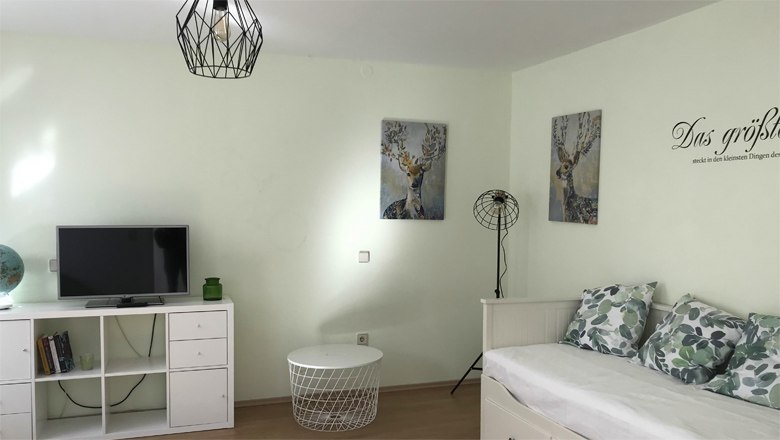 Modern living area with sofa, TV, pictures and decorative cushions.