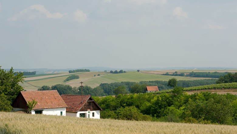 Landscape with fields, trees and two small houses with red roofs.