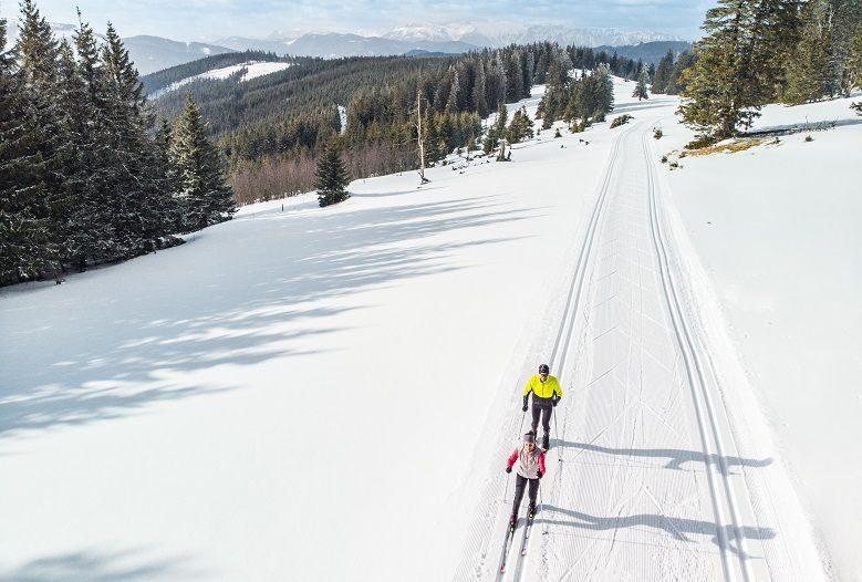 Two cross-country skiers on a snow-covered trail in a wintry forest landscape.
