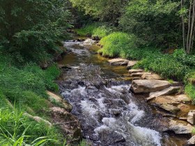 Elexenbach, &copy; Marktgemeinde Hoheneich