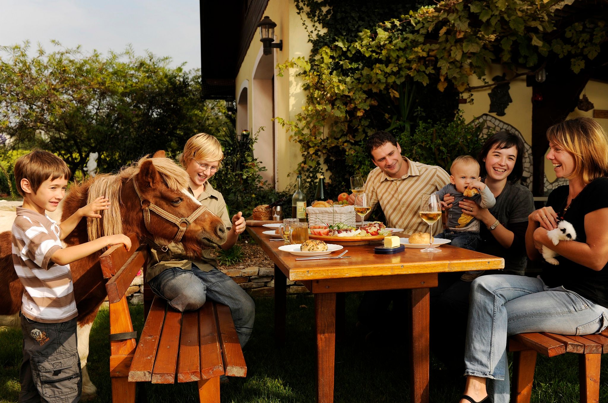 Family sitting in the garden at a table with food, a child stroking a pony, a baby being held, a woman holding a rabbit.