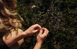 Inmitten der blühenden Wiesen des Mostviertels wird die Natur lebendig. Die sanften Farben der Wildblumen und das sanfte Licht des Sommertages laden dazu ein, die Schönheit der Umgebung zu genießen und die frische Luft einzuatmen. Hier, wo Kulinarik und Natur harmonisch verschmelzen, entsteht ein Gefühl von Freiheit und Entspannung.