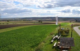 View of the area of the discovery site, © ARDIG