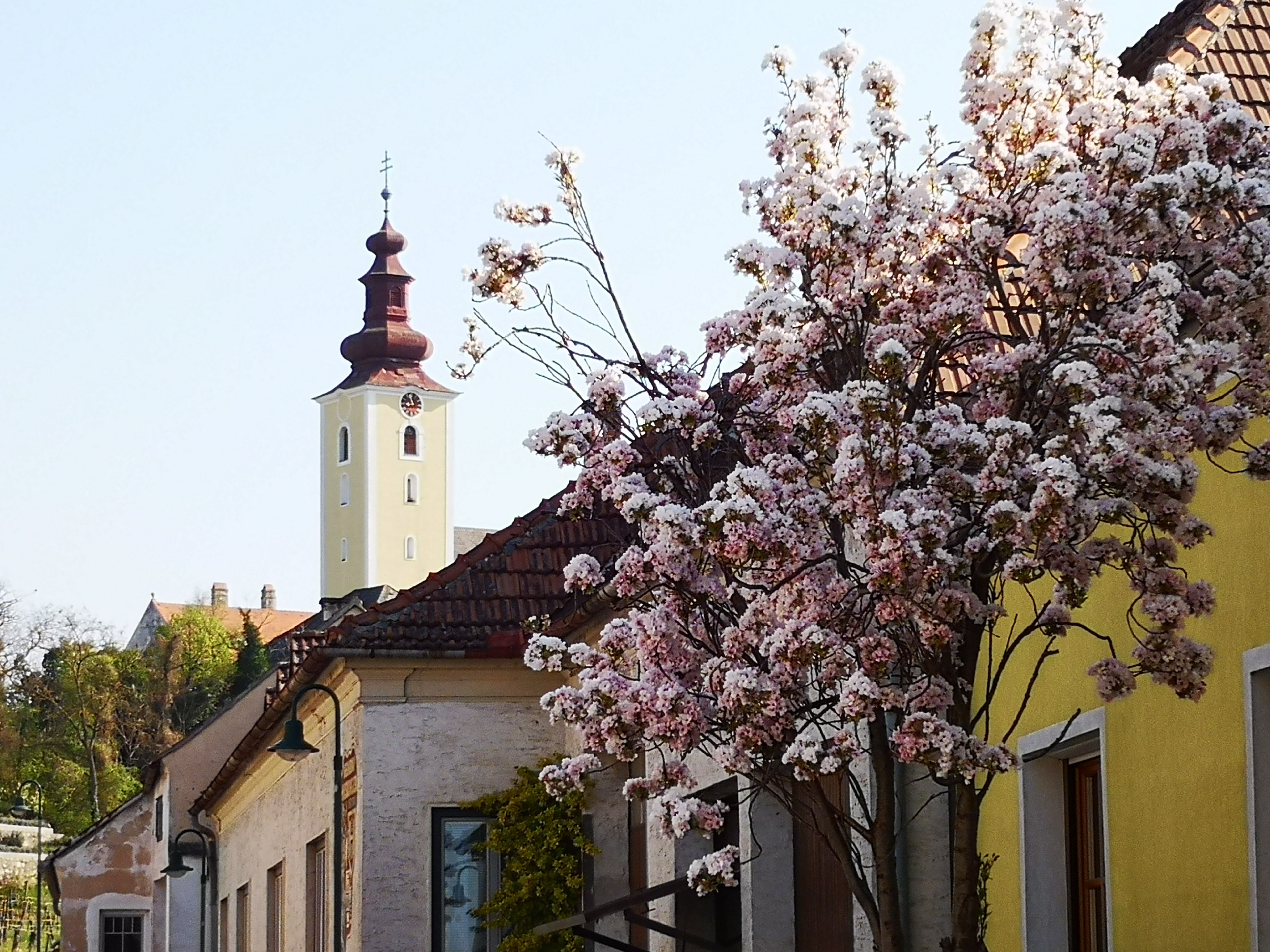 View of a village with a church in the background.