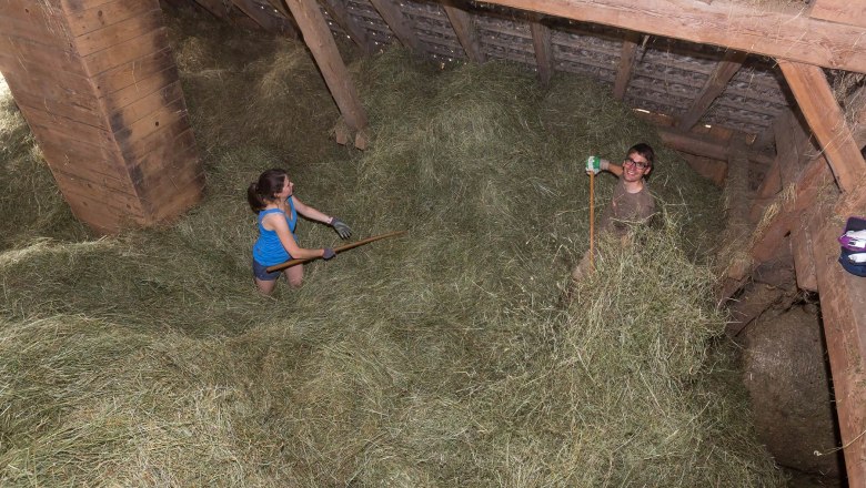 Two people working in a hayloft with pitchforks.