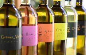 Lederer winery, &copy; Josef Lederer