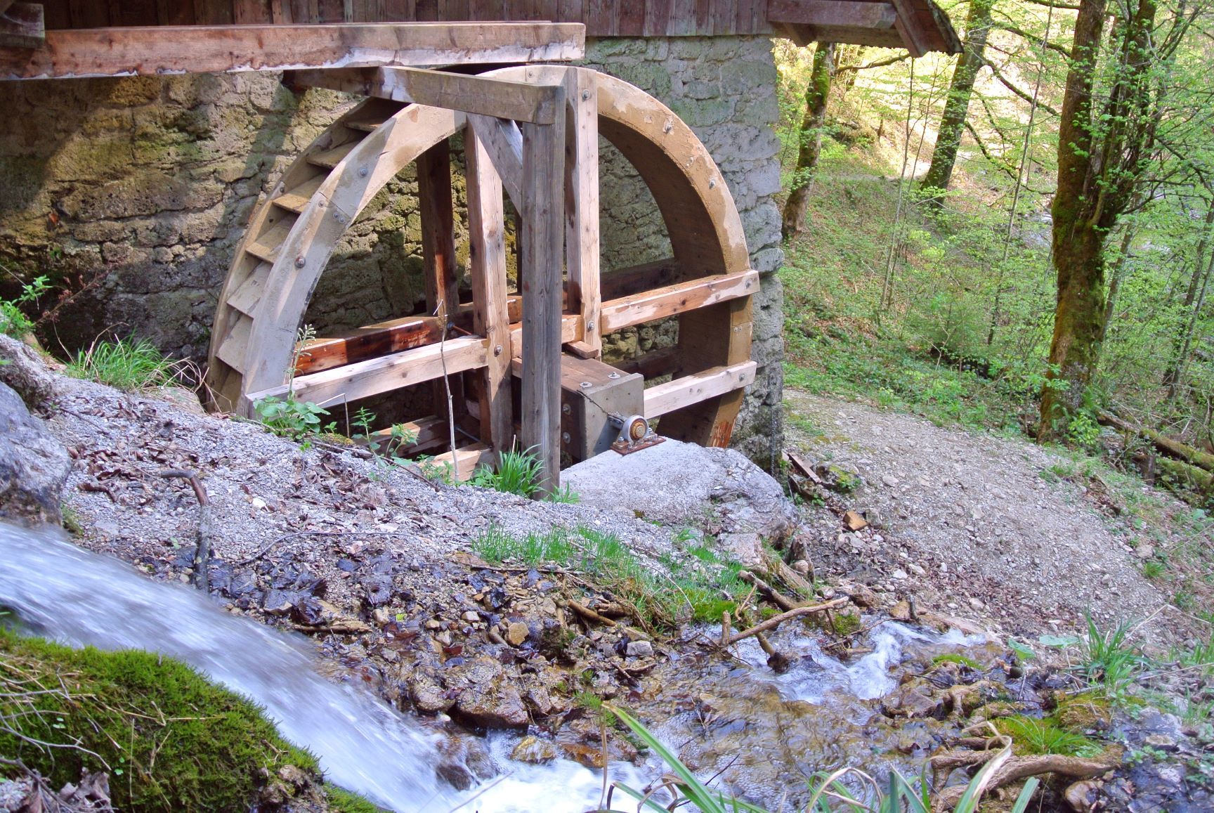 Yew mill wheel in the nature park