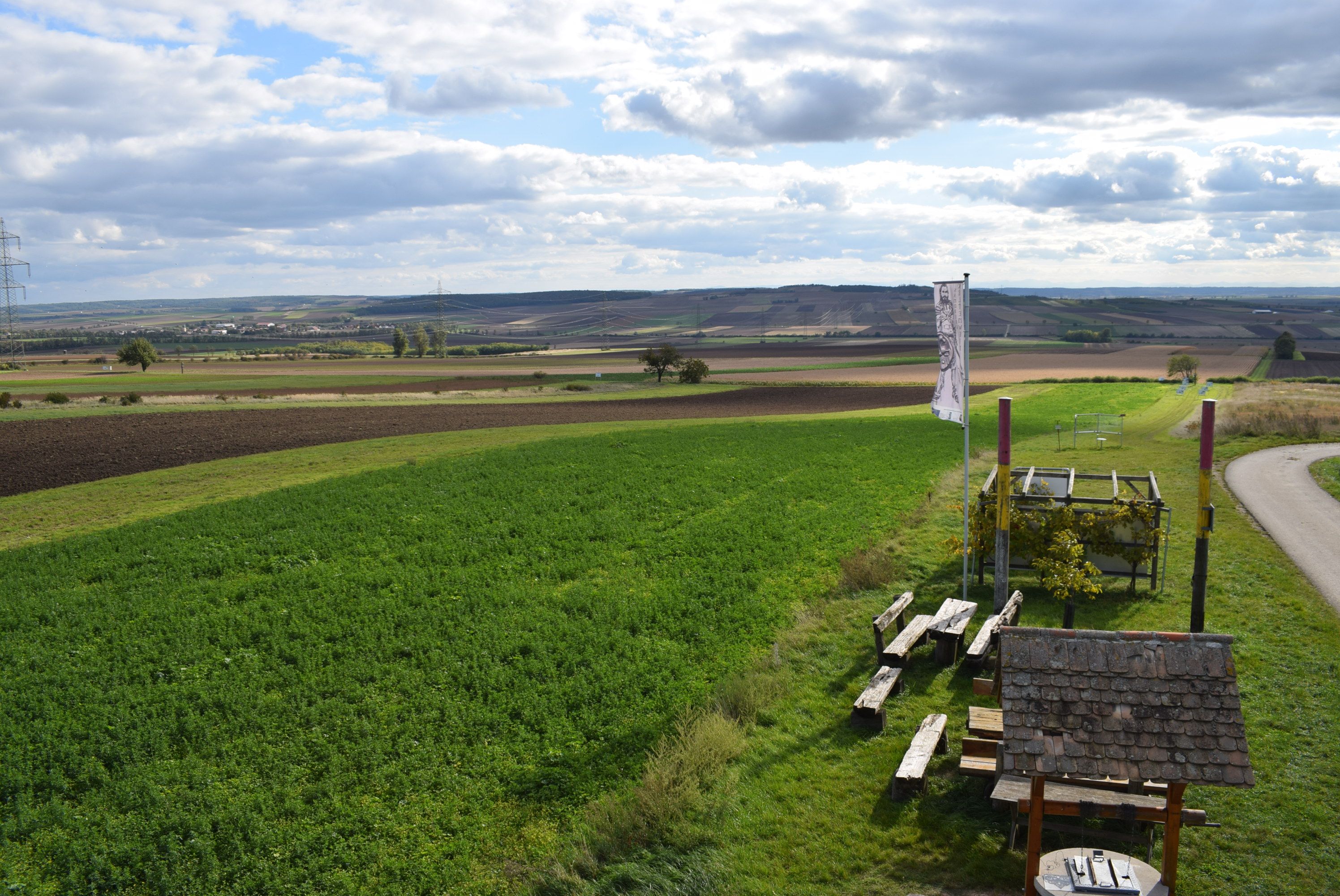 View of the area of the discovery site