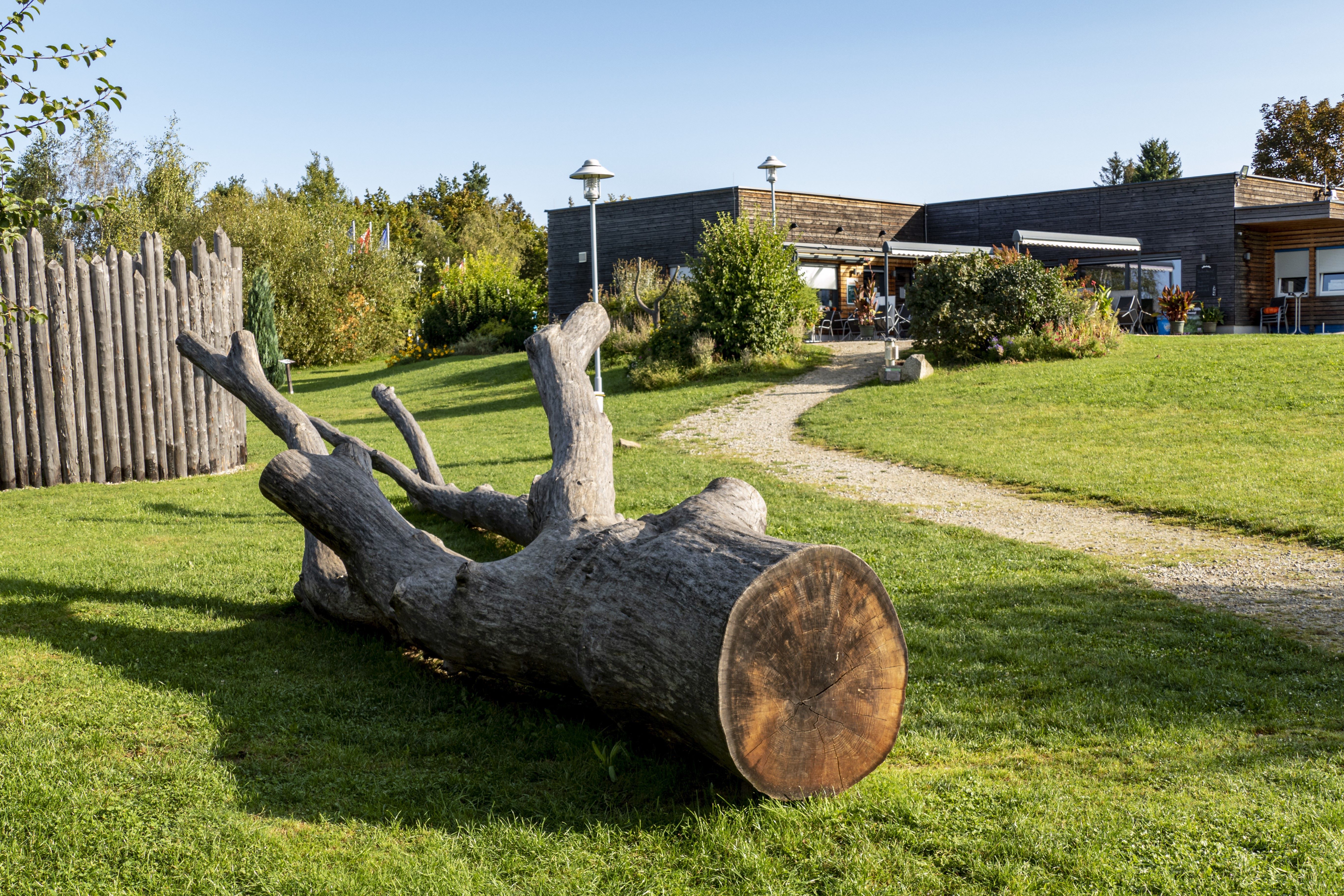 A nature park with a large tree trunk in the foreground and a modern building in the background.