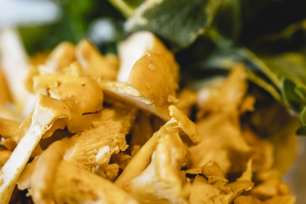 Close-up of fresh chanterelles with green leaves in the background.