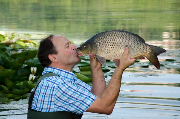 A man kisses a carp on the shore of a lake with water lilies.
