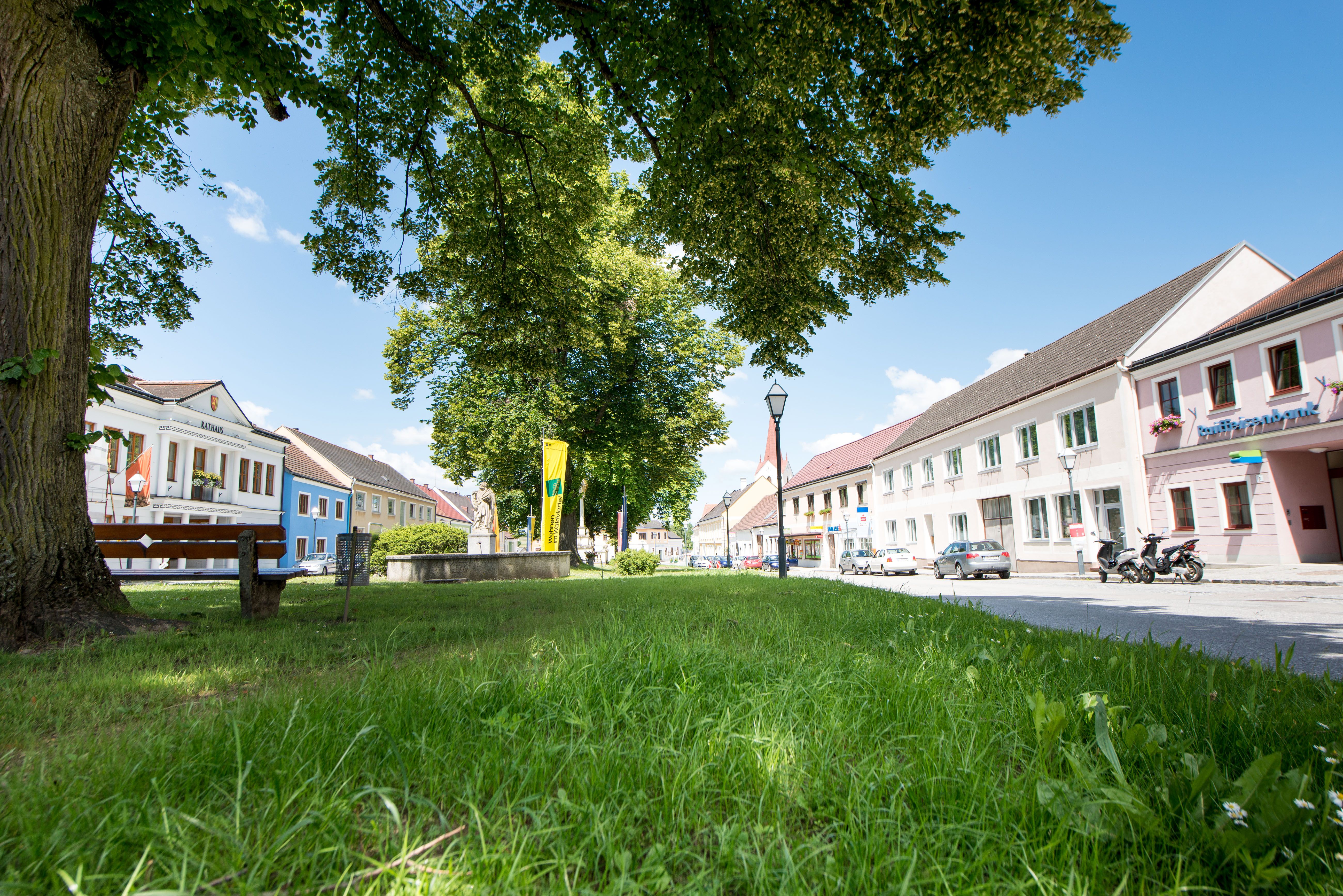 Main square with colorful houses and a green meadow in the middle