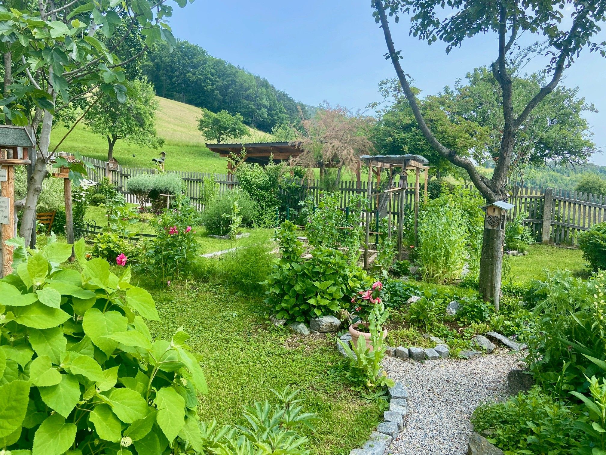 A well-kept garden with flowers, trees and a gravel path, surrounded by a wooden fence and a green meadow in the background.
