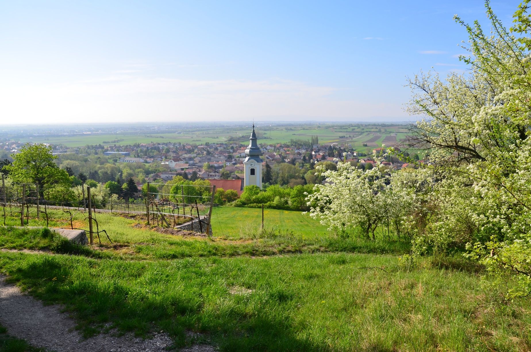 View of the Gainfarn church from the Sonnenweg