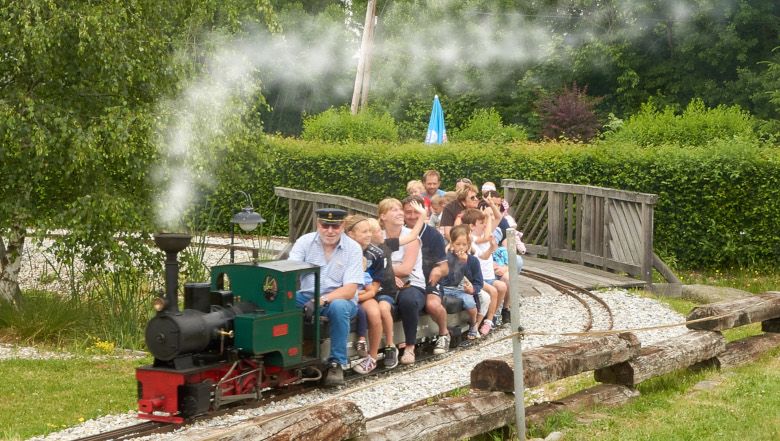 A miniature train with passengers runs through a park.