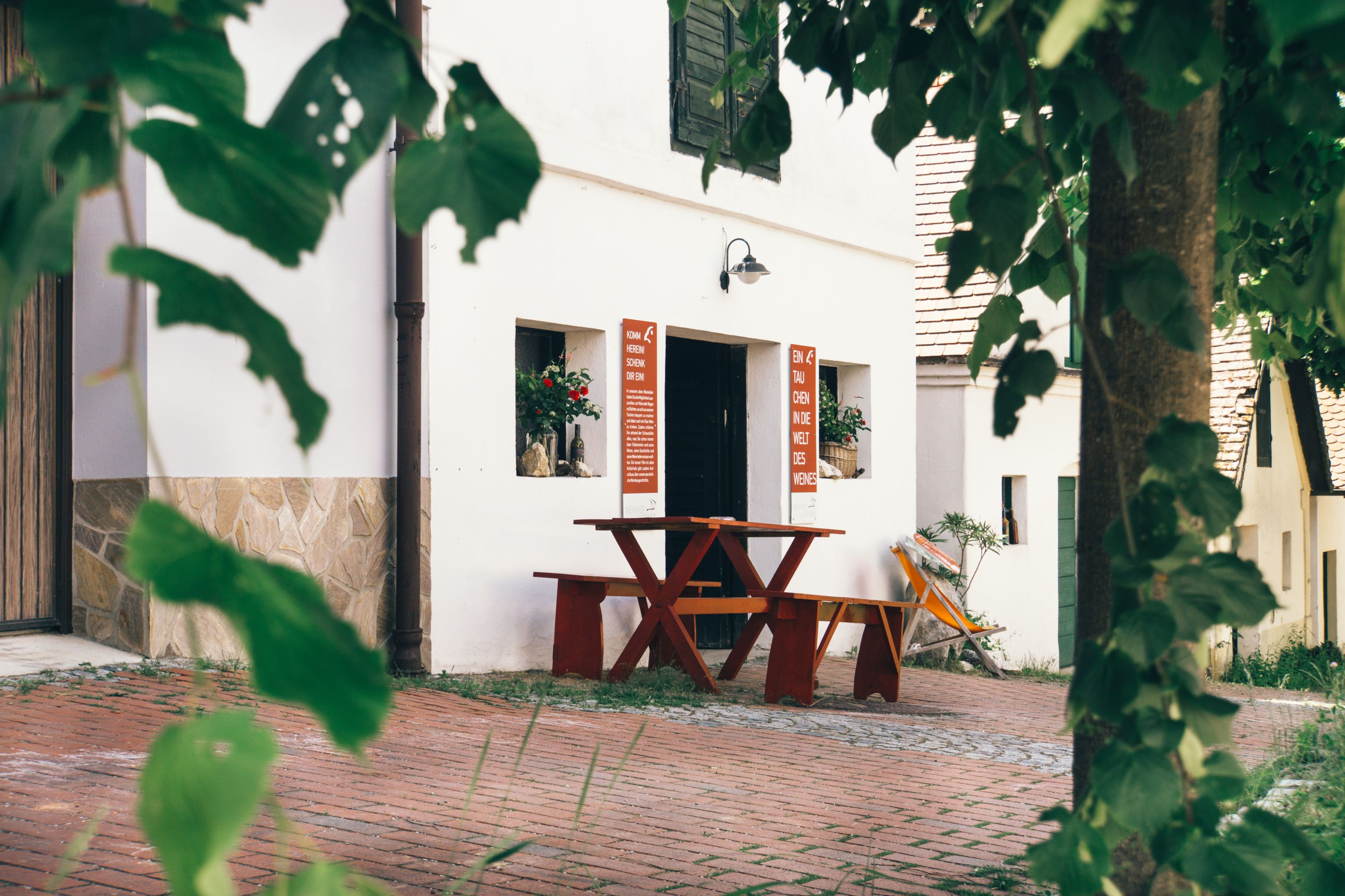 A cozy wine cellar in the Falkenstein wine cellar lane with wooden table and plants.